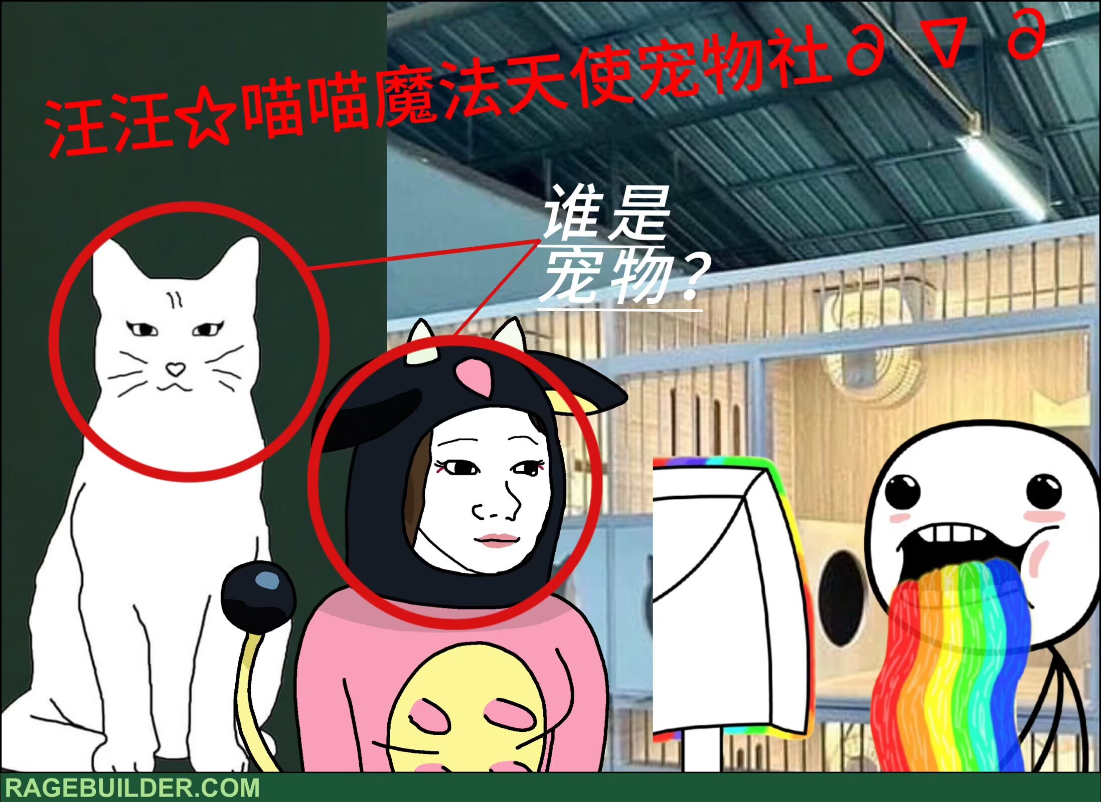 宠物社